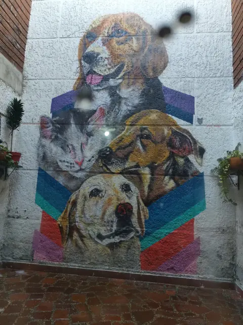 Mural de perros y gatos pintado en la pared del café